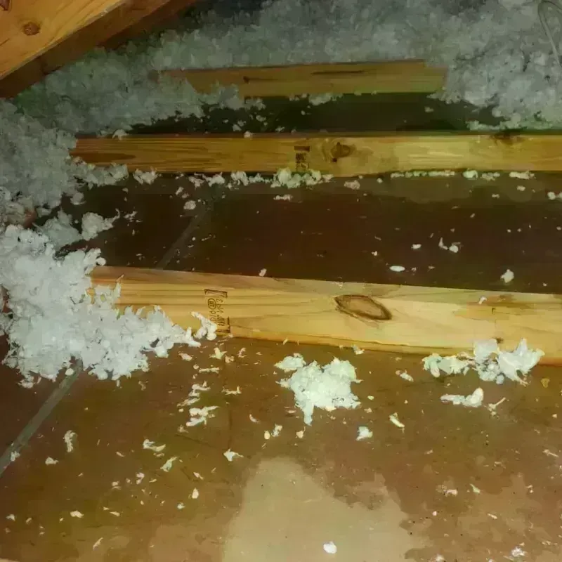 Attic Water Damage in Cadillac, MI