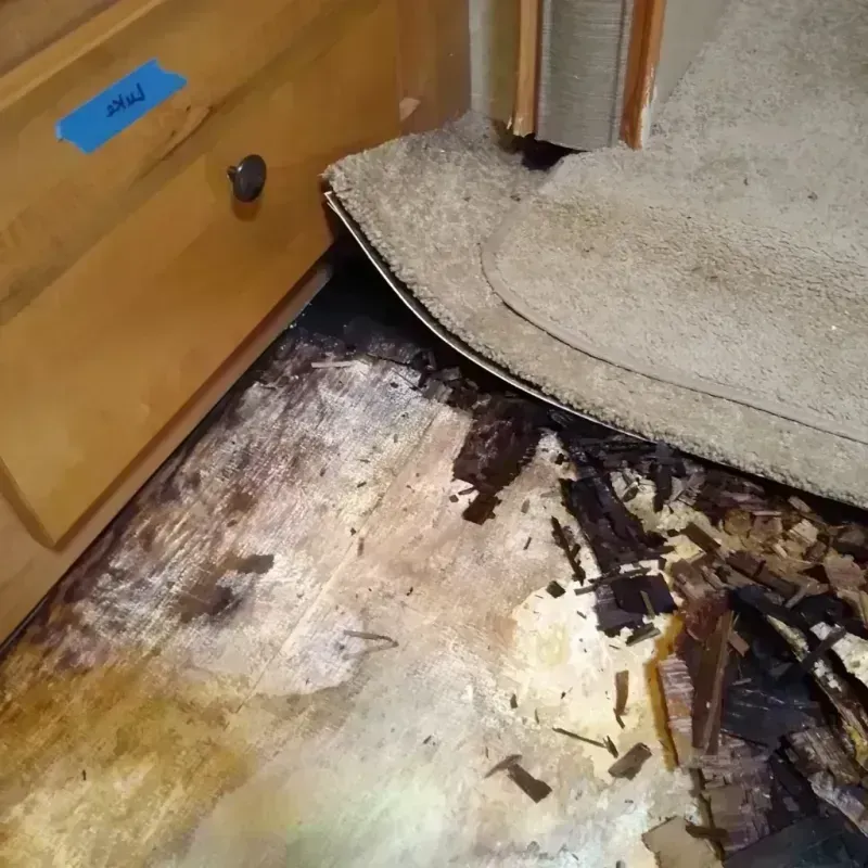 Wood Floor Water Damage in Cadillac, MI